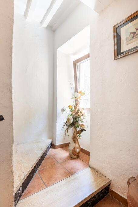 Casa Nel Corso Apartment Pitigliano Exterior photo